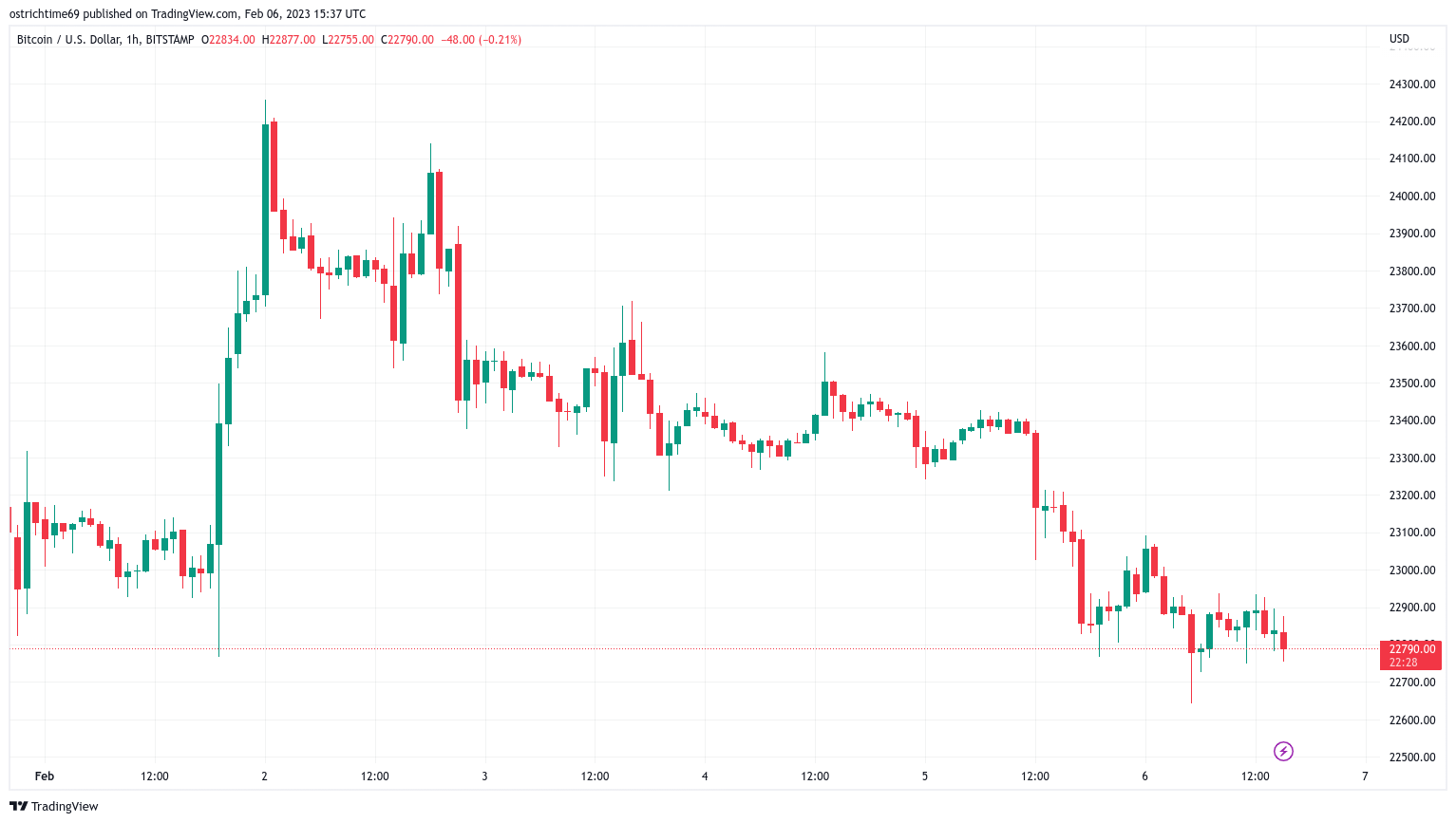 Bitcoin trader fears a bear market comeback: Watch the US dollar